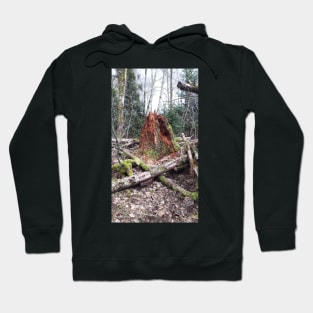 Burnaby park Hoodie